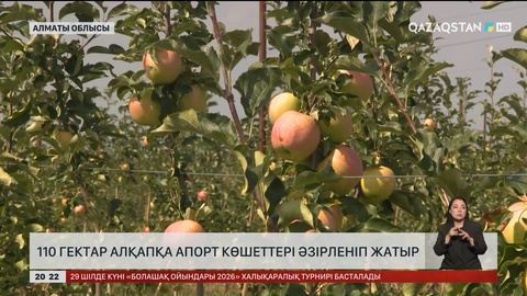  110 гектар алқапқа апорт көшеттері әзірленіп жатыр