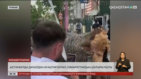  Ыстанбұлда дауылдан ағаштар құлап, ғимараттардың шатыры ұшты