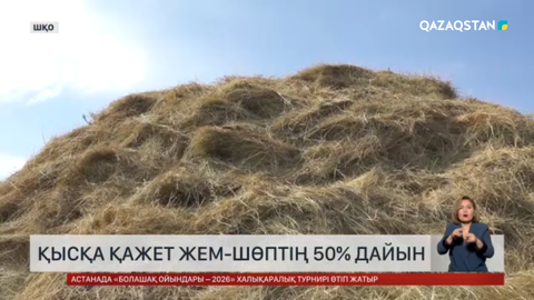 ШҚО: Қысқа қажет жем-шөптің 50%-ы дайын