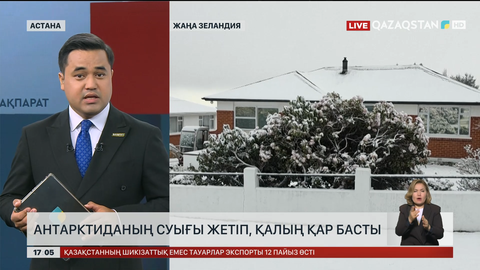 Жаңа Зеландияға қар жауды