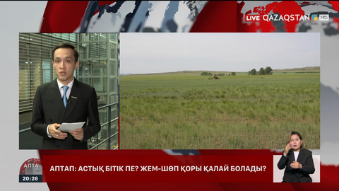 Аптап ыстық егінге қалай әсер етті?