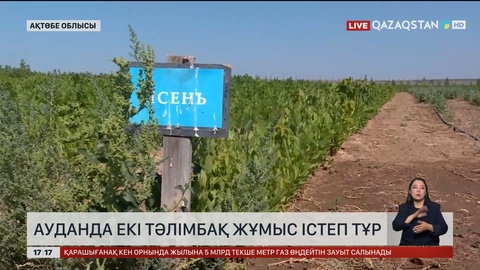 Ақтөбе облысының ауданында ауданда екі тәлімбақ жұмыс істеп тұр