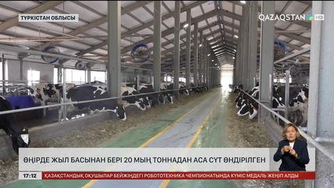 Түркістан облысында 20 мың тоннадан аса сүт өндірілген