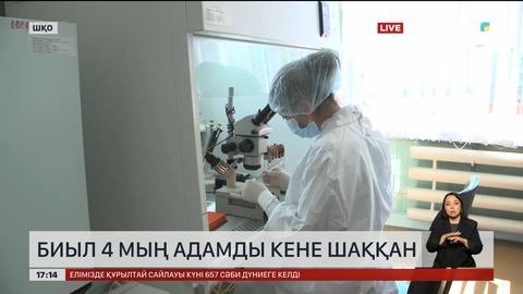 ШҚО-да 4 мың адамды кене шаққан