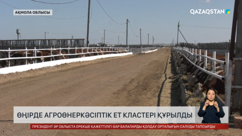 Ақмола облысында агроөнеркәсіптік ет кластері құрылды