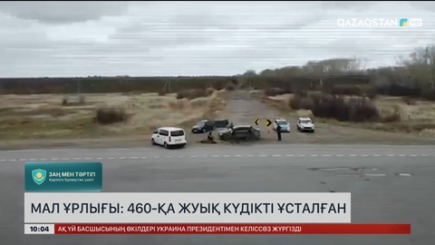 Мал ұрлығы: 460-қа жуық күдікті ұсталған