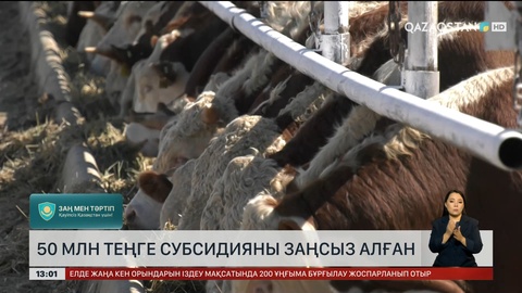 Ақмола облысында мемлекеттен ₸50 млн жымқырған