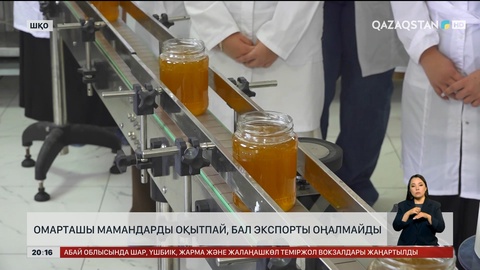 Омарташы мамандарды оқытпай, бал экспорты оңалмайды