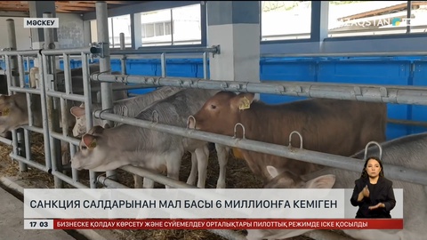 Ресейде мал азайып барады