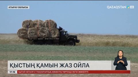 Атырауда мал азығын дайындау науқаны аяқталып қалды