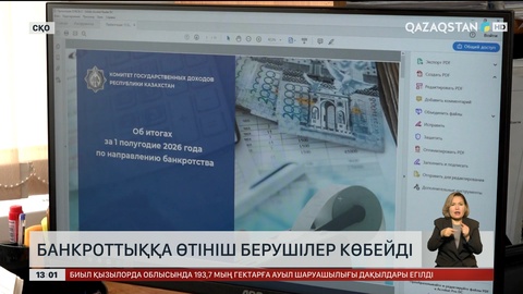 СҚО-да банкроттыққа өтініш берушілер көбейді