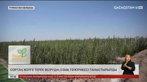 Түркістан облысында сортаң жерге де терек өсіруде