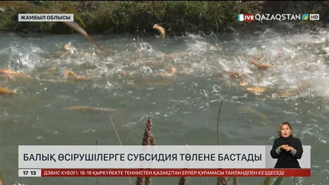 Балық өсірушілерге субсидия беріле бастады