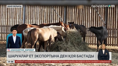 Абай облысында ет экспортына ден қоя бастады