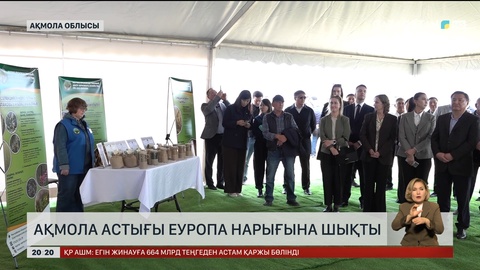 Ақмола астығы Еуропа нарығына шықты