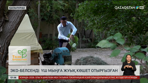 Қызылордада эко-белсенді үш мыңдай көшет еккен