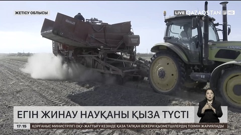 Жетісу облысында егін жинау науқаны қыза түсті