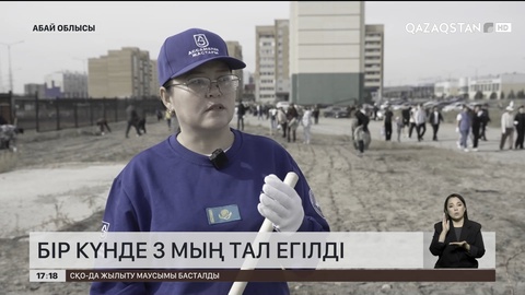 Абай облысында бір күнде 3 мың тал егілді