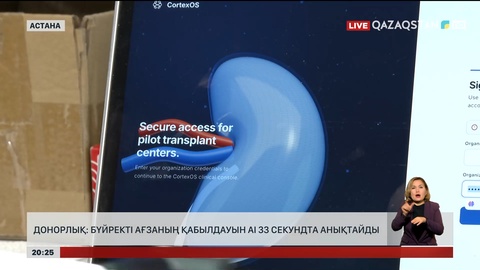 Донорлық: Бүйректі ағзаның қабылдауын ai 33 секундта анықтайды 