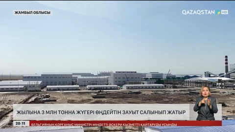 Жамбыл облысында жылына 3 млн тонна жүгері өңдейтін зауыт салынып жатыр