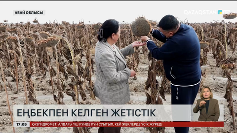 Абай облысында жеке кәсібін дамытушылар көбейіп келеді