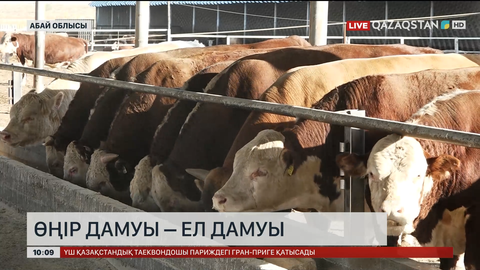 Өңір дамуы – ел дамуы