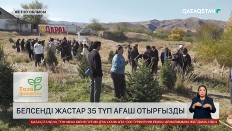 Жетісу облысының жастары бүгін 35 түп ағаш екті