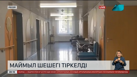 Ресейде маймыл шешегі тіркелді
