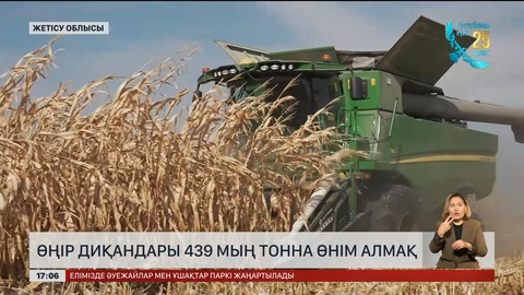 Жетісу диқандары 439 мың тонна жүгері жинамақ