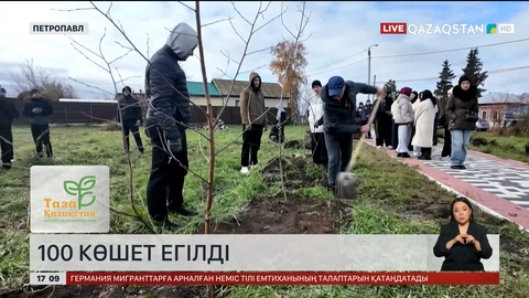 Петропавлда тағы жүз көшет екті