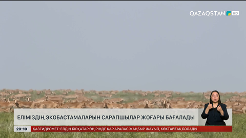 Еліміздің экобастамаларын сарапшылар жоғары бағалады