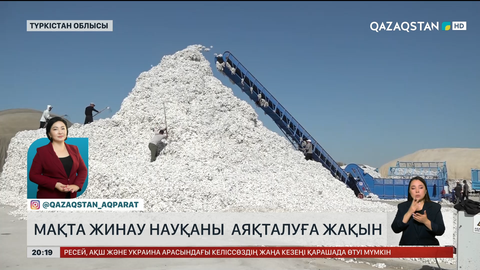 Түркістан облысында мақта жинау науқаны аяқталуға жақын