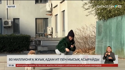 Қытайда 80 млн-дай адам ит пен мысық асырайды