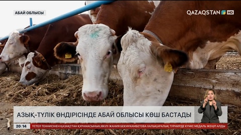 Азық-түлік өндірісінде Абай облысы көш бастады