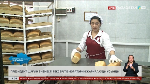 Президент шағын және орта бизнесті тексеруге мораторий жариялауды ұсынды