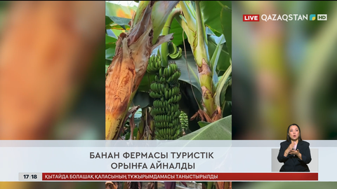 Ел жаңалықтарына шолу