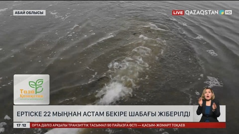 Ертіске 22 мыңнан аса бекіре шабақ жіберді 