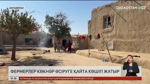 Ауғанстан фермерлері көкнәрді қайта өсіре бастады