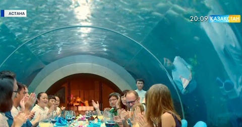 «Астана ЭКСПО-2017» көрмесі аясындағы шаралар жалғасып жатыр