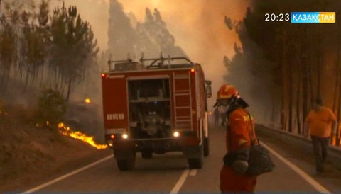 Португалияда тілсіз жау жүздеген гектар алқапты күлге айналдырған
