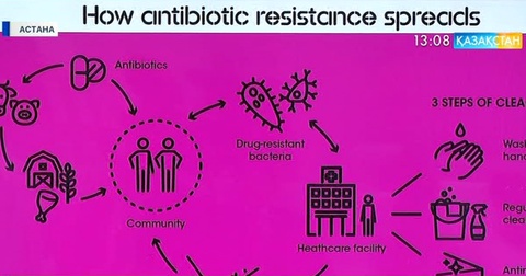 Финляндия павильонында бактерияларға қарсы жиһазды дайындау тәсілі таныстырылды