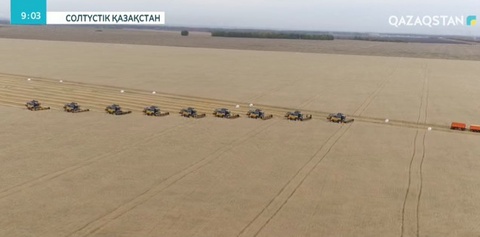 СҚО-да 4,2 млн. гектар егісті жинап алу керек