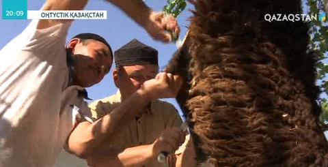 Құрбан айт - рухани тазару мен ізгілік мерекесі