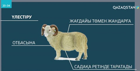 Құрбандық шалудың тәртібі мен талаптары қандай?