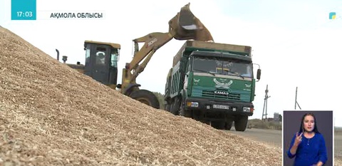 Ақмола облысының диқандары егіннің жартысынан көбін орып үлгерді