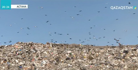 Полиэтилен өндірісіне қашан тыйым салынады?