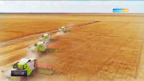 Нұрсұлтан Назарбаев еліміздің агроөнеркәсіп кешені еңбеккерлеріне арнайы құттықтау жолдады