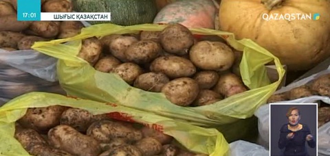 Қыркүйектің 16-17-і күндері Елордада ШҚО-ның ауыл шаруашылық жәрмеңкесі өтеді