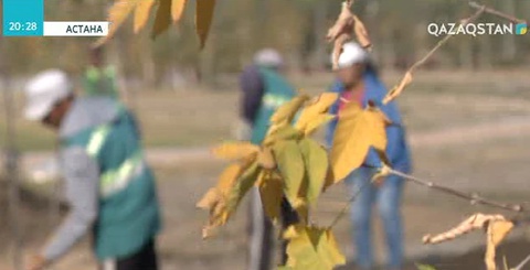 Астанада 16-қыркүйек күні сенбілік өтеді