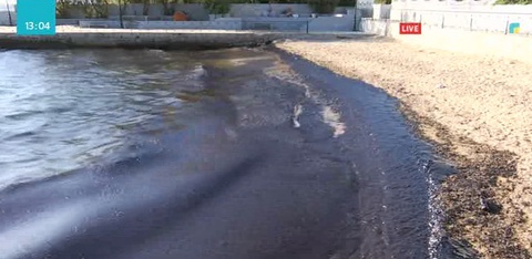 Жағажай төгілген мұнайдан тазартылып жатыр